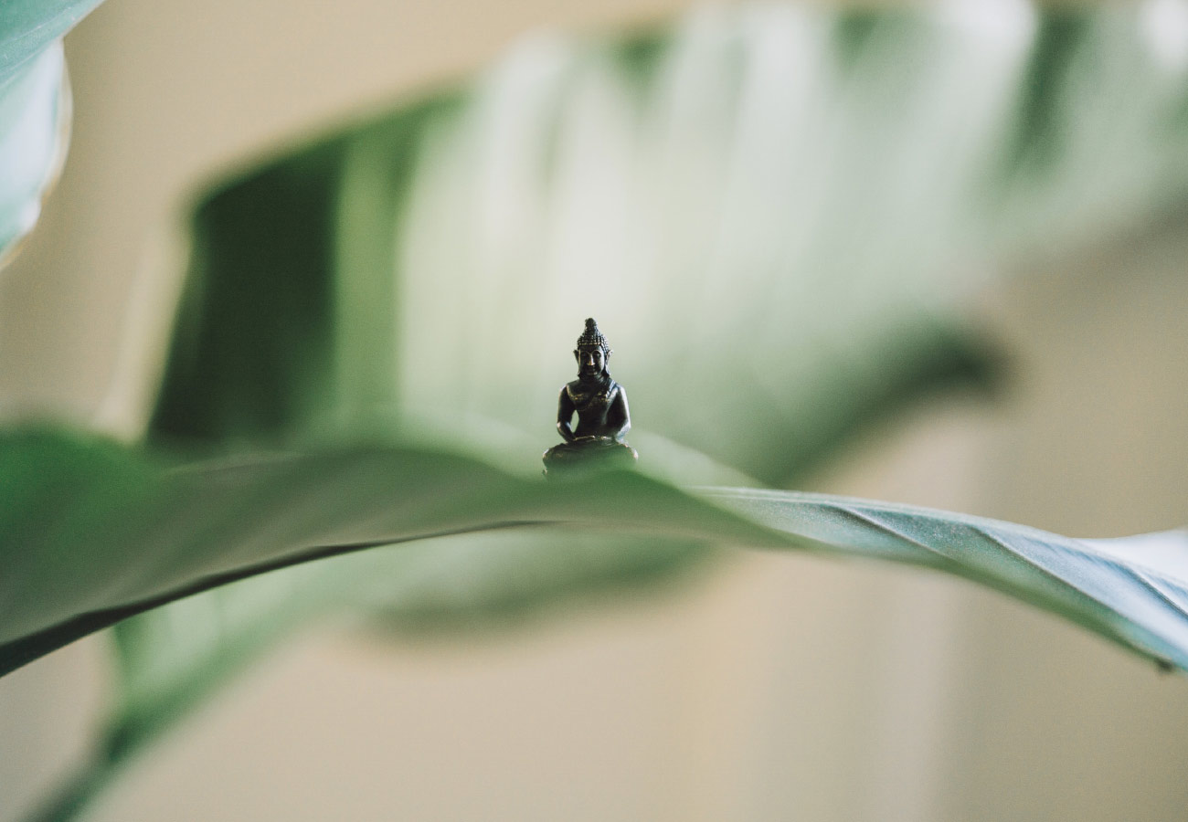 Nulla ipsum etiam dolor